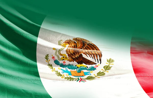 México Ondeando Bandera Cerca —  Fotos de Stock