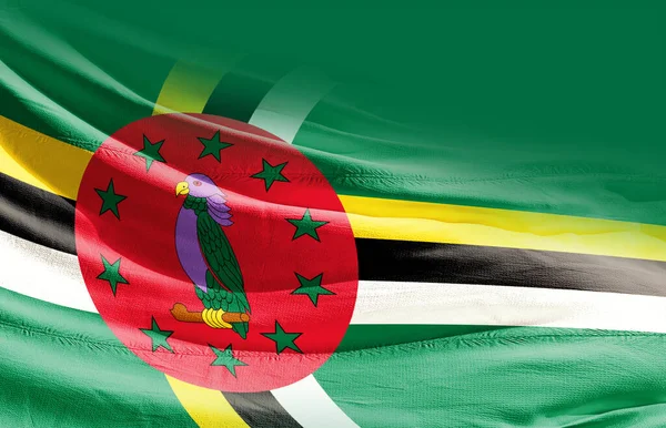 Dominica Schwenkt Flagge Aus Nächster Nähe — Stockfoto