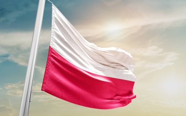 Poland waving flag against sky