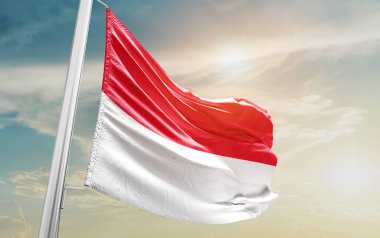 Monaco waving flag against sky