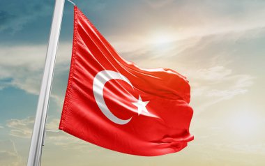 Turkey waving flag against sky