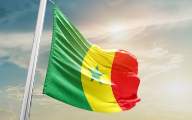 Senegal waving flag against sky