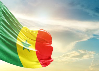 Gökyüzüne karşı Senegal bayrağı 
