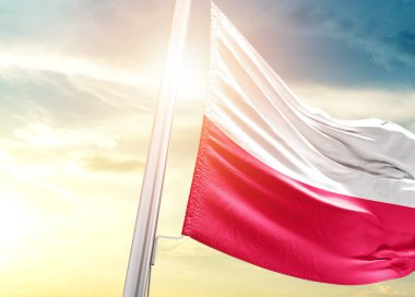 Polonya bayrağı güneşli gökyüzüne karşı