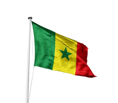 Senegal beyaz arkaplan üzerinde bayrak sallıyor
