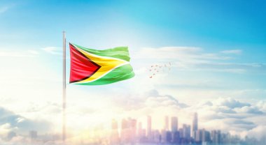 Şehrin üzerinde Guyana bayrak simgesi 