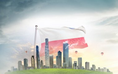 Polonya bayrağı gökyüzünde dalgalanıyor 