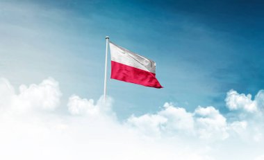 Polonya bayrağı gökyüzünde dalgalanıyor 