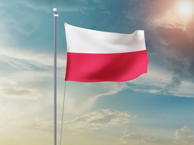 Polonya bayrağı gökyüzünde dalgalanıyor 