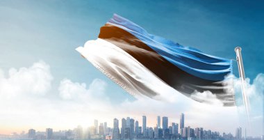 Estonya ulusal bayrağı gökyüzünde dalgalanıyor