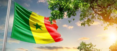 Senegal Ulusal Bayrağı ağaçların yanında dalgalanan bulutlara karşı