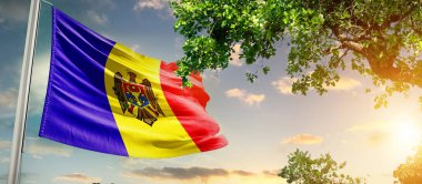 Moldova ulusal bayrağı ağaçların yanındaki bulutlara karşı dalgalanıyor