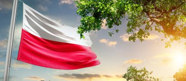 Polonya ulusal bayrağı ağaçların yanında dalgalanan bulutlara karşı