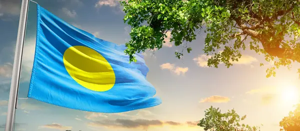 Ulusal Palau bayrağı dalgalanıyor ağacın yanındaki bulutlara