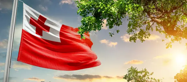 Tonga ulusal bayrağı ağaçların yanında dalgalanan bulutlara karşı