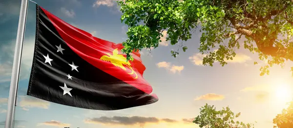 Papua Yeni Gine ulusal bayrağı ağaçların yanında dalgalanan bulutlara karşı