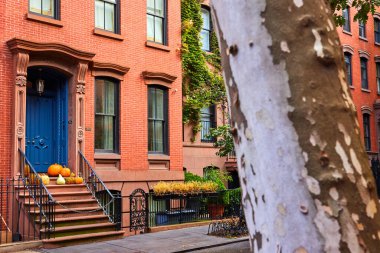 New York 'ta balkabaklı ve mavi kapılı Greenwich Village binasından güzel bir ağaç resmi
