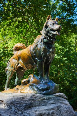 Central Park New York 'ta Iconic Balto kızak köpek heykeli