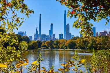 Central Park 'taki ağaçların arasından New York şehrinin ufuk çizgisi ile Göl manzarası