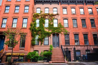 Greenwich Village New York 'taki tuğla apartmanın üzerindeki güzel yeşil sarmaşıkların görüntüsü