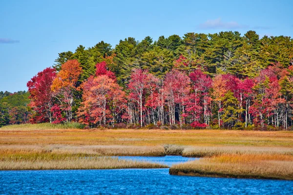 Maine Bataklıkları Nın Orman Kenarında Sonbahar Yaprakları Ile Resmi — Stok fotoğraf