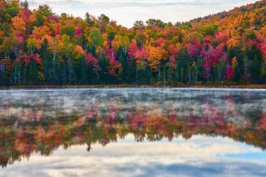 Sükûnetli gölün yansıtıcı sisli yüzeyi. Düşen orman ağaçlarının en tepedeki yaprakları.