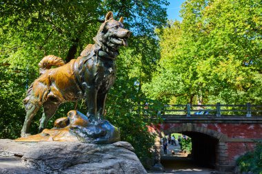 Central Park New York 'taki Balto kızak köpek heykeli