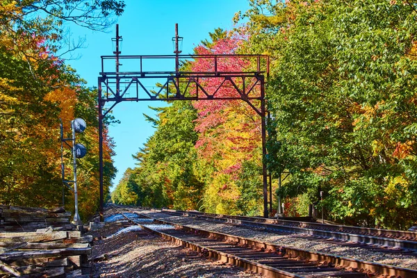 Image of Train tracks empty in fall forest with colorful foliage