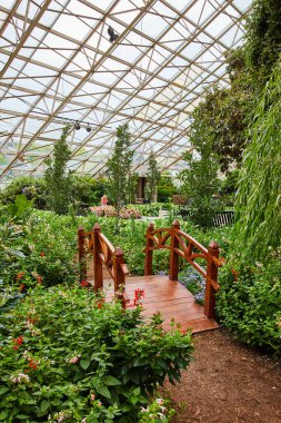 Botanik bahçelerinde, üzerinde cam çatı olan huzur dolu bir köprü resmi