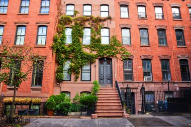 Greenwich Village New York 'ta kırmızı tuğlalı ve yeşil sarmaşıklı güzel apartman manzarası