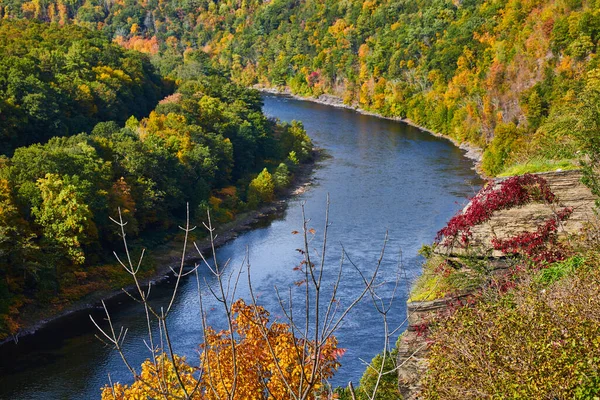 Image of Patch of Delaware river from above in early fall with rock covered in red vines