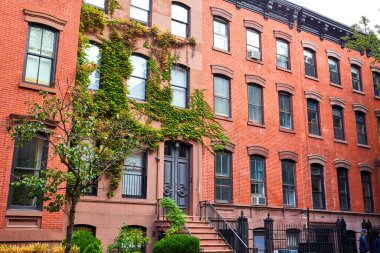 New York 'ta duvarlarında sarmaşık olan Greenwich Village sembolik binalarının güzel bir görüntüsü