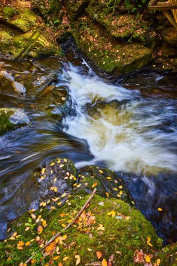 Şelale şeklindeki yosunlu kayaların yapraklarla kaplı olduğu küçük şelale görüntüsü