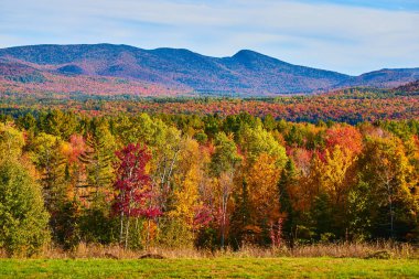 New York 'un tepe noktası önü orman kenarlı dağlarda sonbahar manzarası