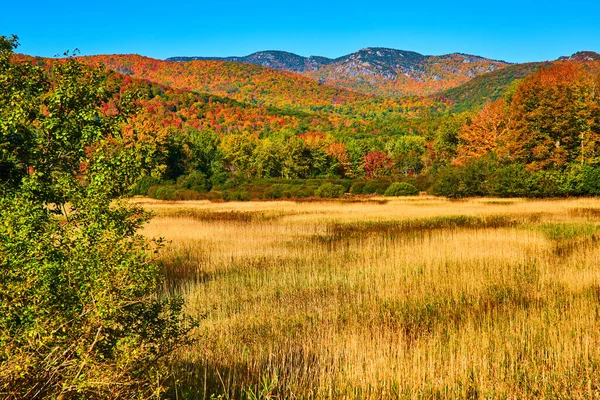 Image of Beautiful fall fields by large colorful fall mountains of New York