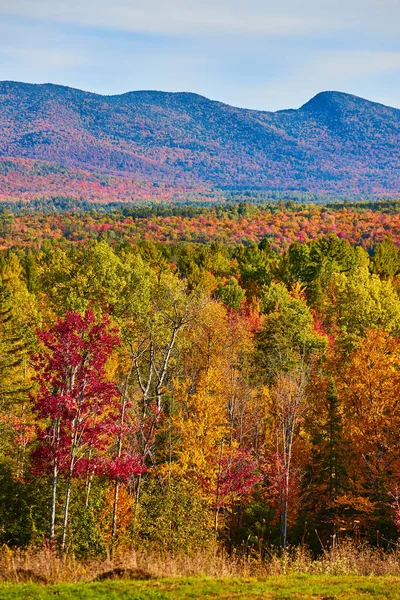 Image of Right in front of row of fall foliage with huge mountains in peak fall behind