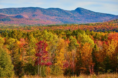 Önünde renkli bir sıra olan New York 'taki sonsuz sonbahar tepelerinin görüntüsü