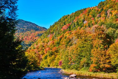 New York 'ta sonbahar yeşilliklerinin görüntüsü dağlar uzaklığında sığ bir nehir.