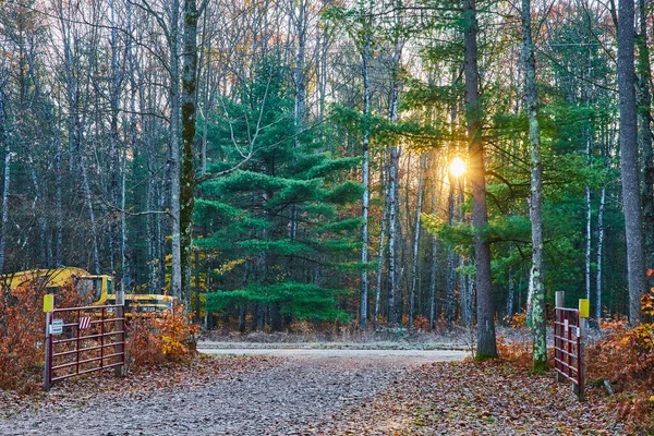 Image of Dirt road into parking area in late fall with gates and golden sun through trees