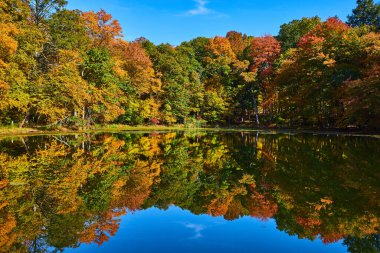 Düşerken gölet sularını yansıtan Güzel Sonbahar Ormanı görüntüsü