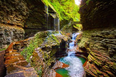 New York 'un kuzeyindeki Watkins Glen şelalesinin sonbaharda yeşeren büyülü görüntüsü