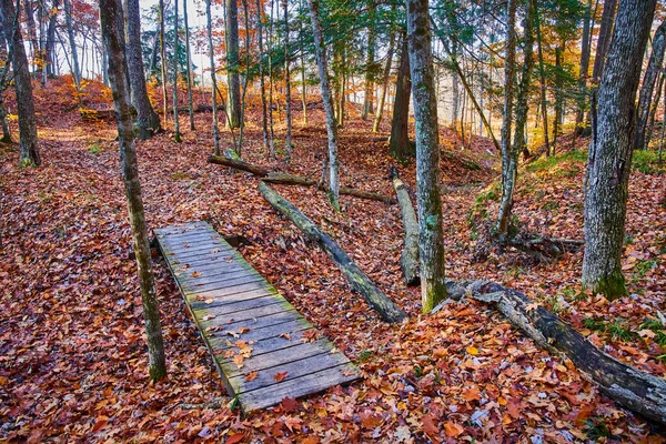Image of Small hiking bridge in forest over dry creek with ground covered in orange leaves