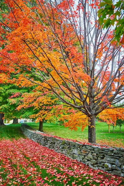 Image of Piles of red fall leaves on ground by stone wall with vibrant orange-leafed tree