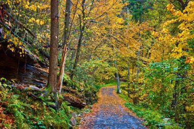 Tepe 'nin düşüşünün görüntüsü, renkli sarı ormanlarda yürüyüş yolu üzerinedir. Kayalar ve yapraklar izleri kapatır.