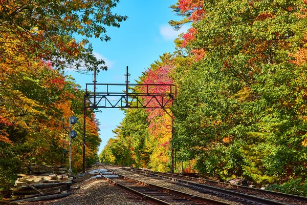 Image of Train tracks empty through fall forest in Maine