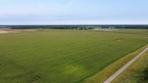Wideo Patelni Lotniczej Huntertown Indiana Wieża Ciśnień Pól Uprawnych Otaczających — Wideo stockowe