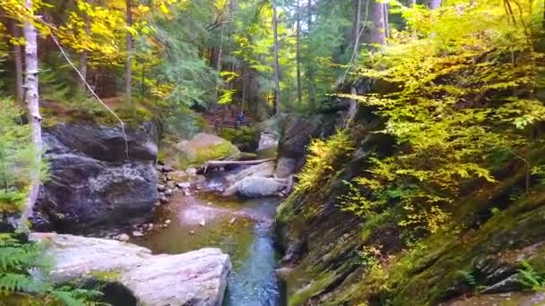 空中飛行のビデオ水によって刻まれた岩と見事な滝の峡谷の川を通って低く — ストック動画