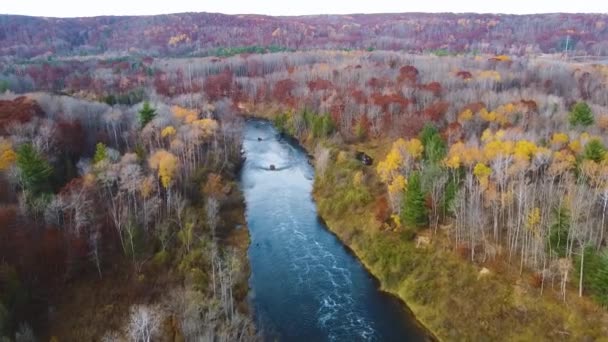 Vídeo Aerial Sobre Impressionante Queda Tardia Michigan Rio Floresta Drone — Vídeo de Stock