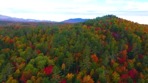 Video Letectva Přes Kopce Hory Vrcholů Podzimních Lesů Silnicí Vinoucí — Stock video