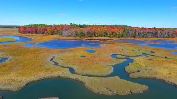 Wideo Powietrza Nad Mokradłami Maine Plamami Płytkiej Wody Kierunku Opadających — Wideo stockowe